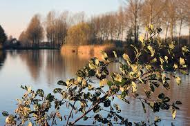 images (8)