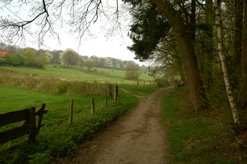 Mookerheide